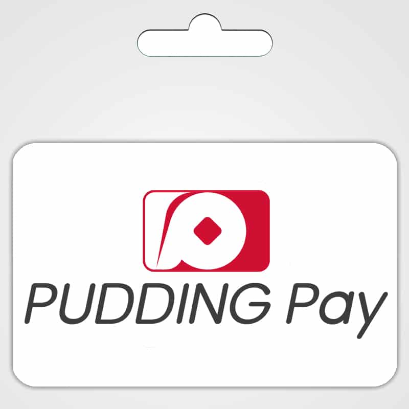 PUDDING Pay $4.99 USD