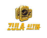 Steam Zula